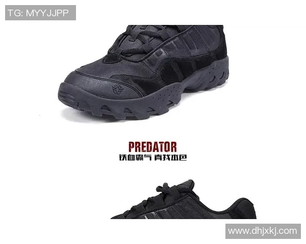 武汉攀岩队整体压制体系的战术解析与实战应用探讨实时数据 武汉攀岩队整体压制体系的战术解析与实战应用探讨实时数据