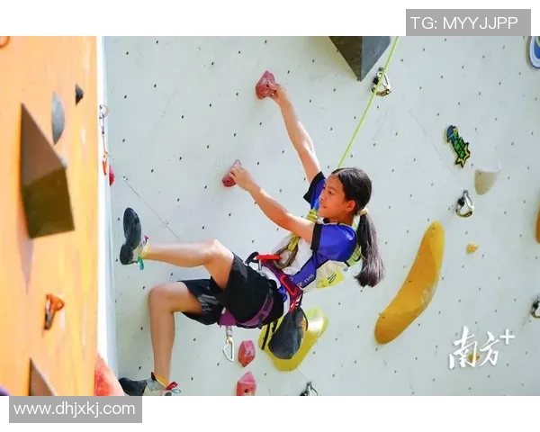 运动数据南京攀岩队的团队协作探索与攀登精神的完美结合
