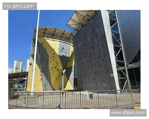 实时新闻南京攀岩队的意识提升与团队精神探讨聚焦攀岩运动的未来发展